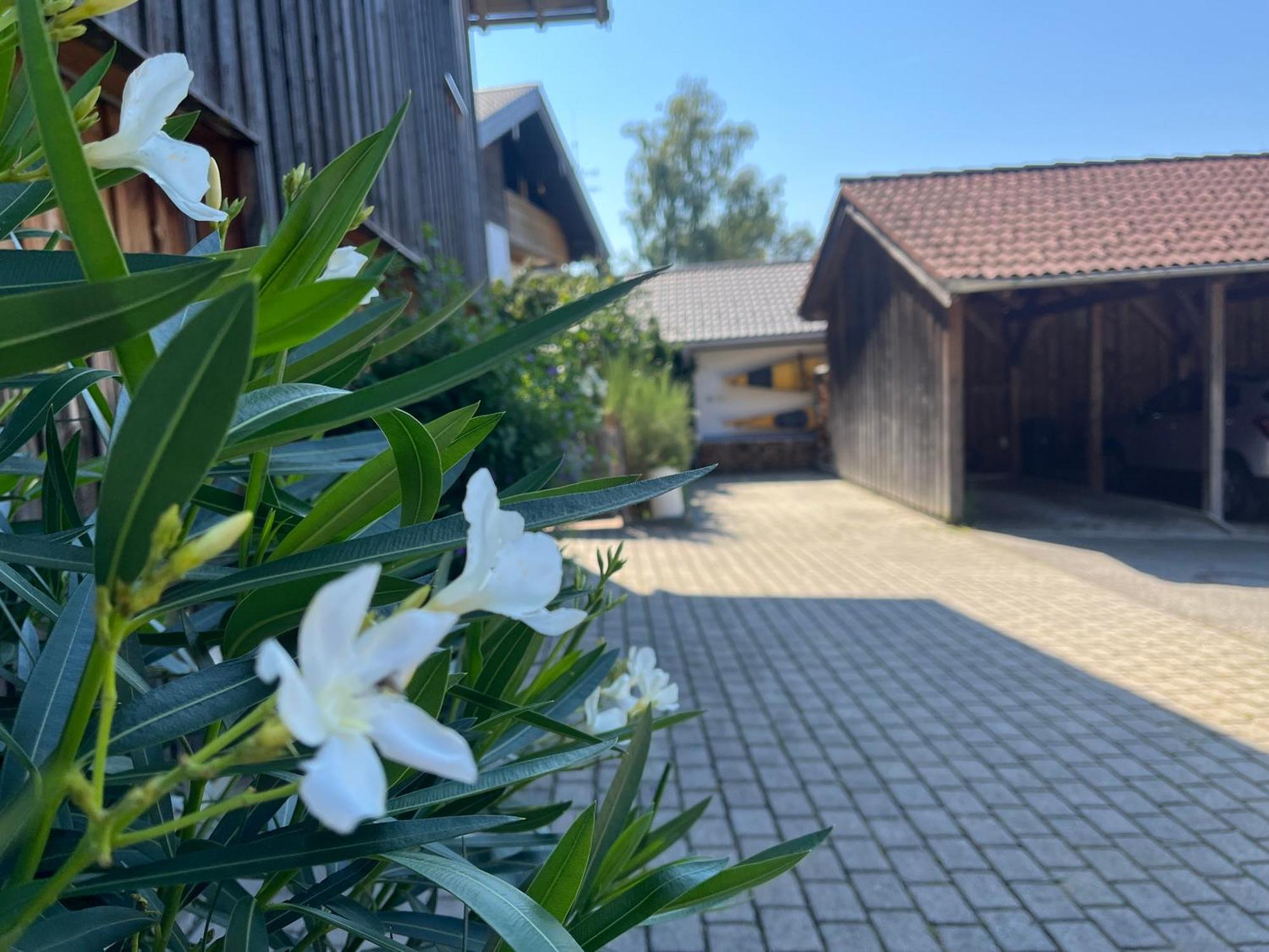 Apartment Wohlfuehlplatzl - Urgemuetlich & Ruhig Vogtareuth Exteriér fotografie